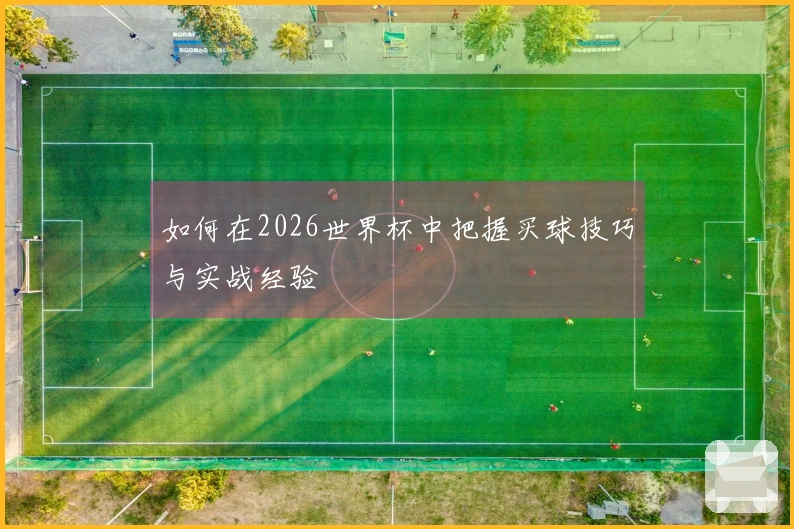 如何在2026世界杯中把握买球技巧与实战经验