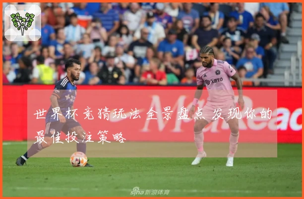 世界杯竞猜玩法全景盘点 发现你的最佳投注策略