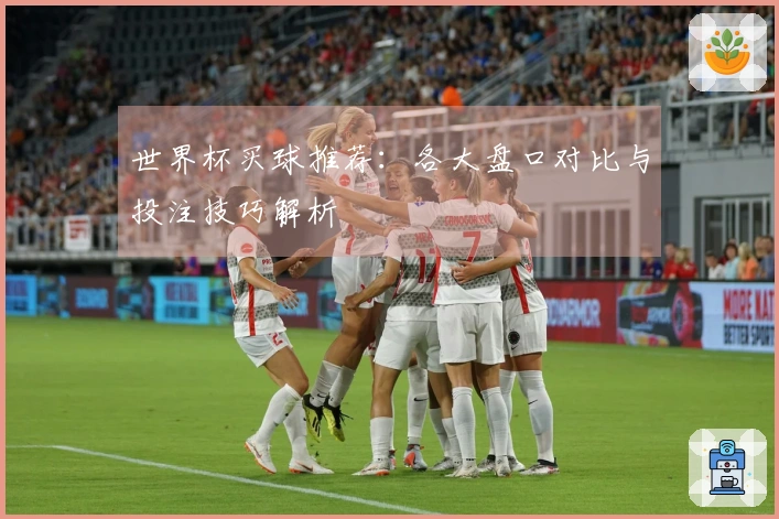 世界杯买球推荐：各大盘口对比与投注技巧解析