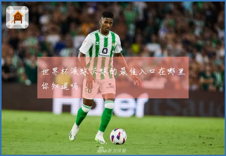 世界杯滚球买球的最佳入口在哪里你知道吗