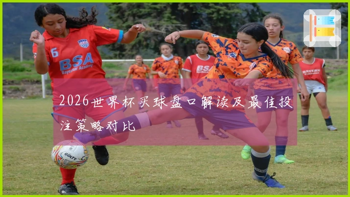 2026世界杯买球盘口解读及最佳投注策略对比