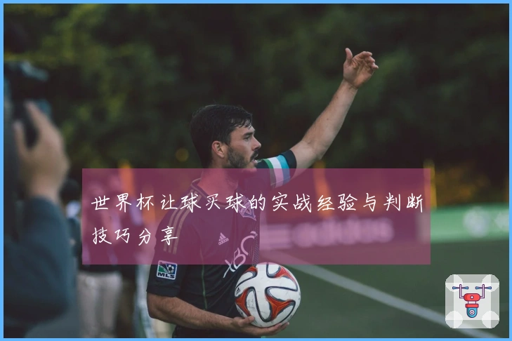 世界杯让球买球的实战经验与判断技巧分享