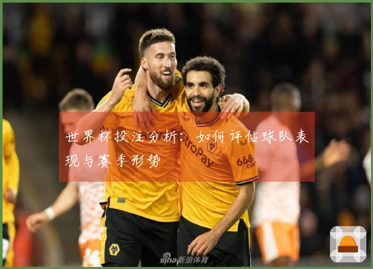 世界杯投注分析：如何评估球队表现与赛季形势