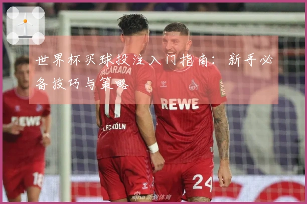 世界杯买球投注入门指南：新手必备技巧与策略