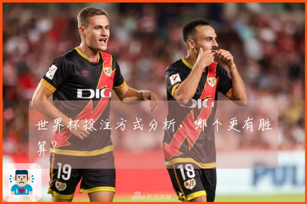 世界杯投注方式分析，哪个更有胜算？