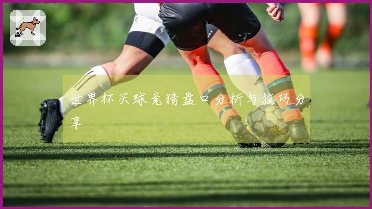 世界杯买球竞猜盘口分析与技巧分享
