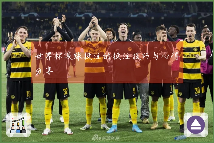 世界杯滚球投注的投注技巧与心得分享