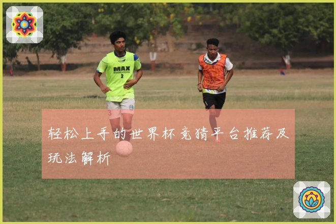 轻松上手的世界杯竞猜平台推荐及玩法解析