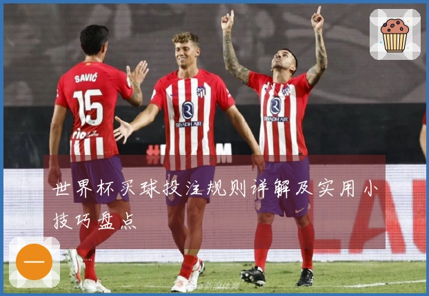 世界杯买球投注规则详解及实用小技巧盘点