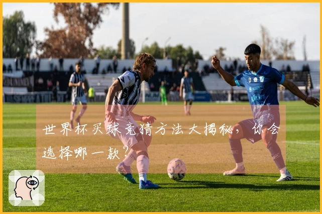 世界杯买球竞猜方法大揭秘，你会选择哪一款？