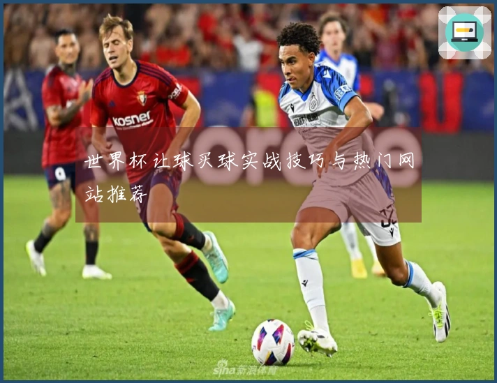 世界杯让球买球实战技巧与热门网站推荐
