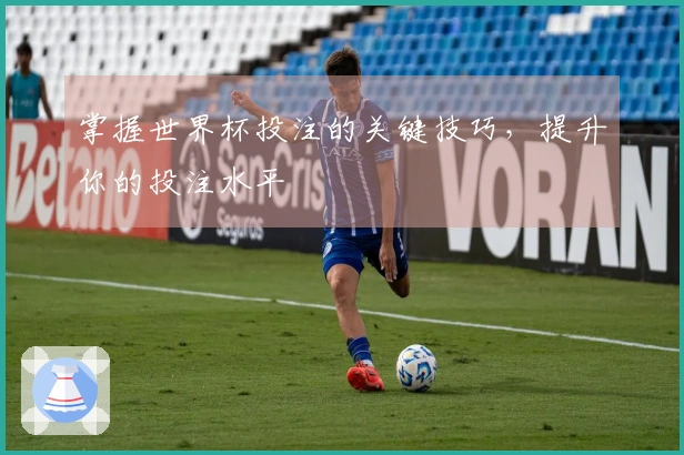掌握世界杯投注的关键技巧，提升你的投注水平