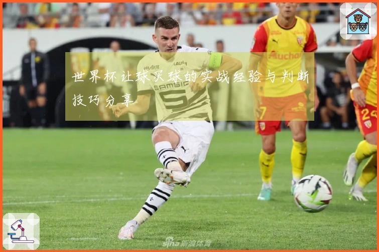 世界杯让球买球的实战经验与判断技巧分享