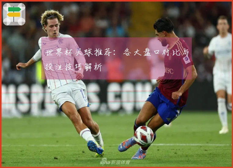 世界杯买球推荐：各大盘口对比与投注技巧解析