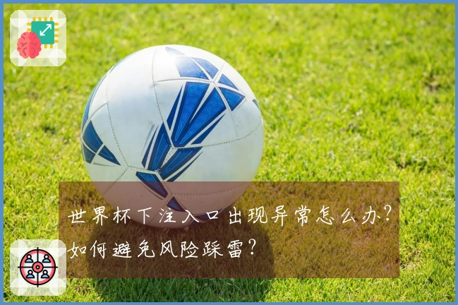 世界杯下注入口出现异常怎么办？如何避免风险踩雷？